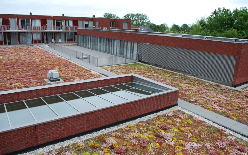 begrüntes Dach mit Dachterrasse