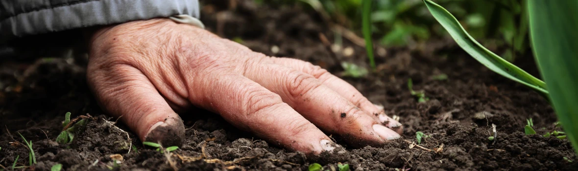 Mit einer Hand wird Blumensaat in die Erde gedrückt 