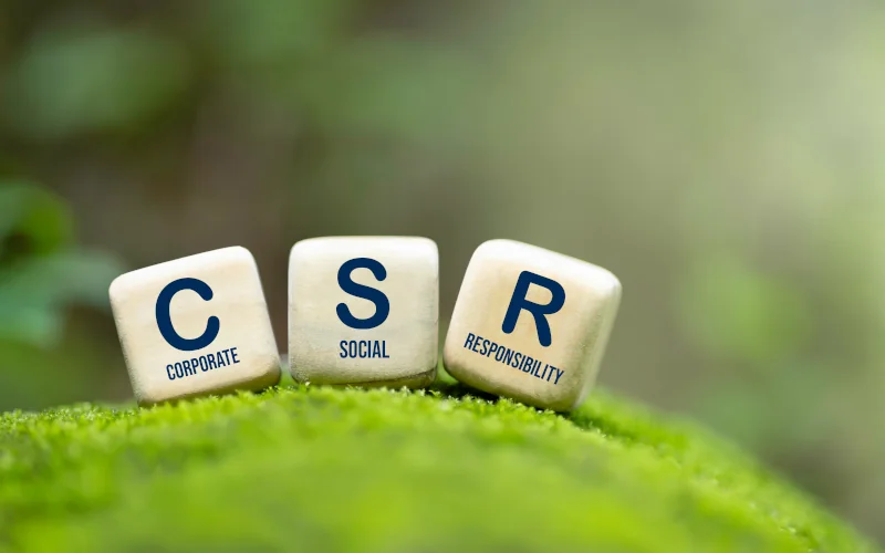 3 Würfel auf grünem Grund mit Aufschrift Corporate Social Responsibility