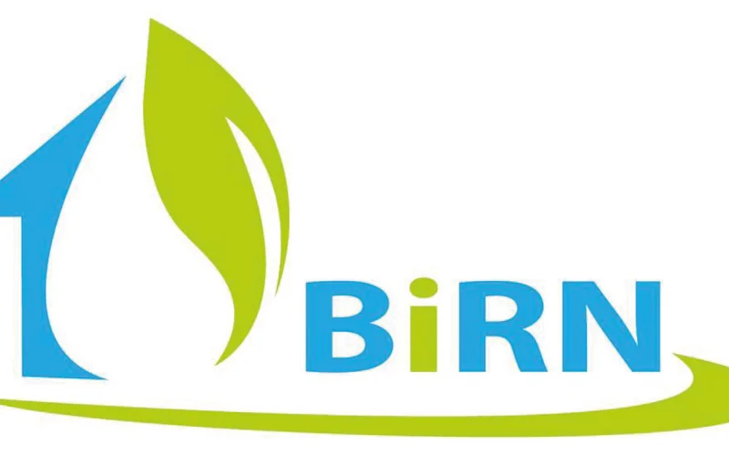 Logo BiRN