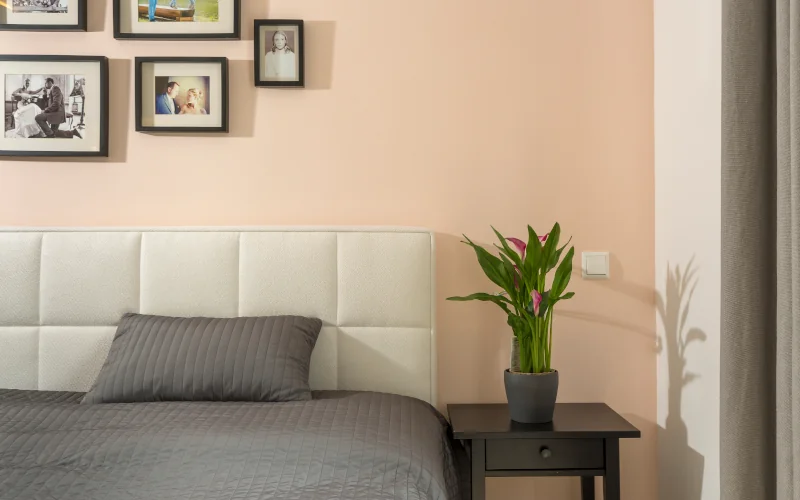 Schlafzimmer mit Bett, Bildern an der Wand und Abstelltisch mit Pflanze