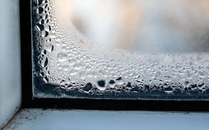 Kondenswasser und Schimmel am Rand des Fensters
