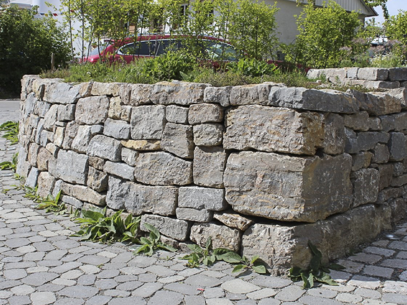 Gartenwelt_FrMuschelkalkMauer_Beitragsbild.webp