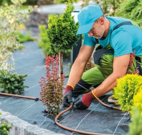 So wird Ihr Garten klimafit