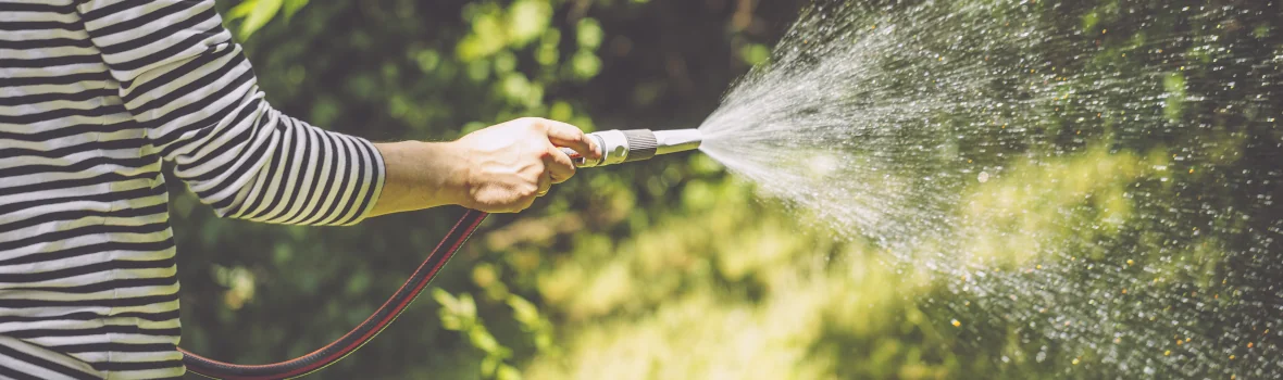 Frau bewässert Rasen mit einem Gartenschlauch