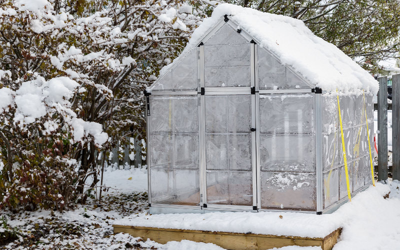Gewächshaus auf einem Sockel im Garten eingeschneit im Winter