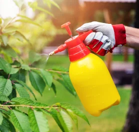So düngen Sie Pflanzen und Gartenboden richtig: Vorbereitung auf den Frühling