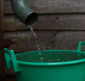 Regenwasser effektiv auffangen