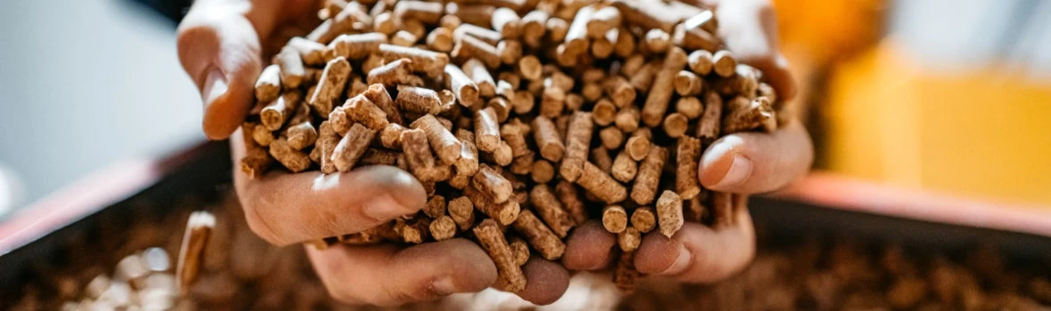 Holzpellets in Händen. nachhaltiger Brennstoff für umweltfreundliches Heizen.
