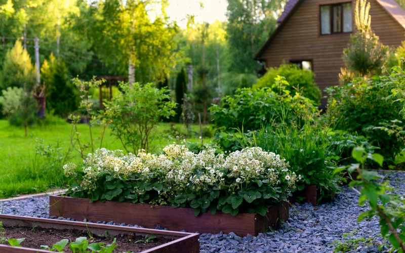 Beete im Garten mit einem Haus im Hintergrund 
