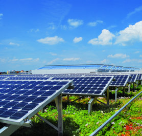 Solar-Gründacher bringen enorme Synergieeffekte