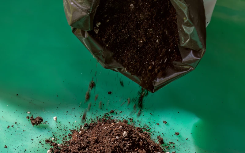 Aus einem Sack wird Blumenerde in einen grünen Behälter umgefüllt