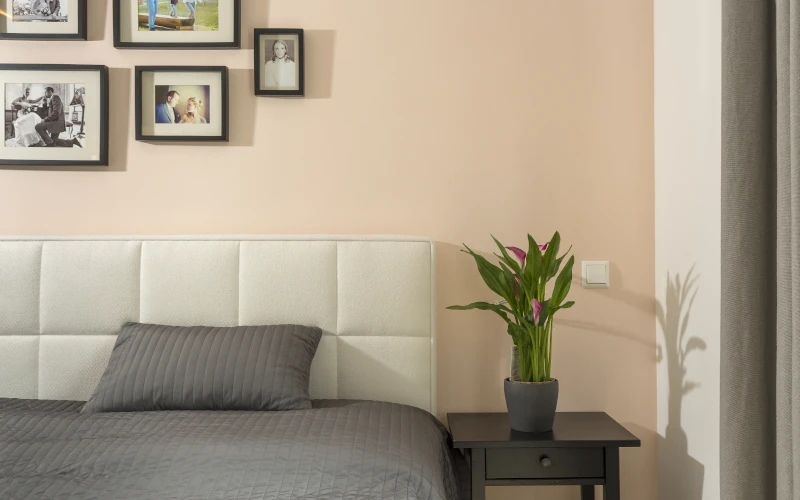 Das Bild zeigt ein schlicht eingerichtetes Schlafzimmer mit gepolstertem Bett, grauer Bettwäsche, Nachttisch, Zimmerpflanze und mehreren gerahmten Fotos an der Wand.