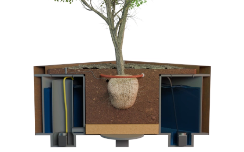 Grafik mit Innenansicht der ACO ClimateBoxx Baum in zwei Größen mit bis zu 1.000 Liter Wasserspeicher