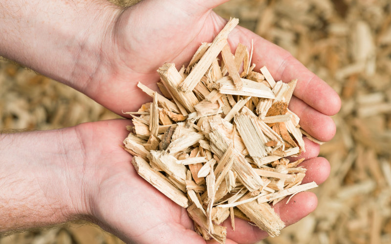 Feine Holzsplitter in den Händen gehalten