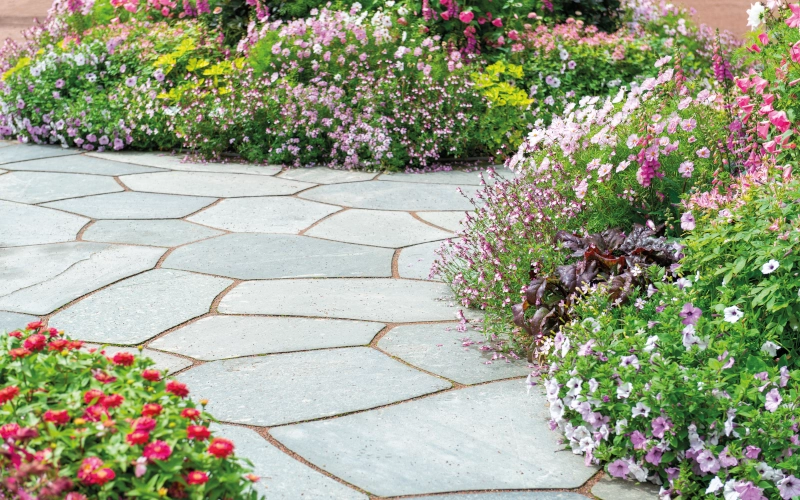 Gepflasterter Weg durch ein Blumenbeet.