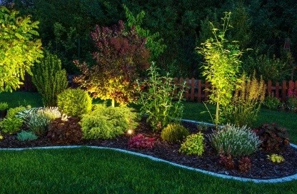 Ein Beet im Garten wird von unten angeleuchtet