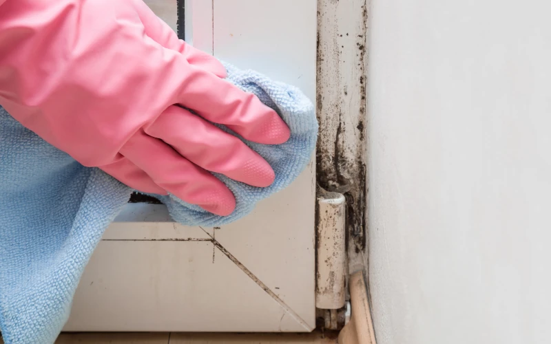 Mit einem Tuch werden Schimmelspuren am Fensterrahmen weggewischt