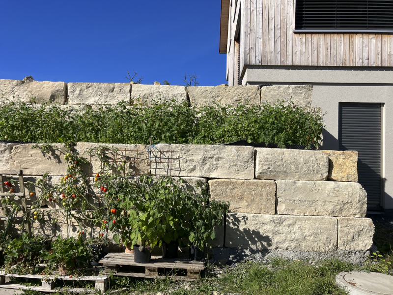 Gartenwelt_DietfurterBöschungsstein_Beitragsbild.webp