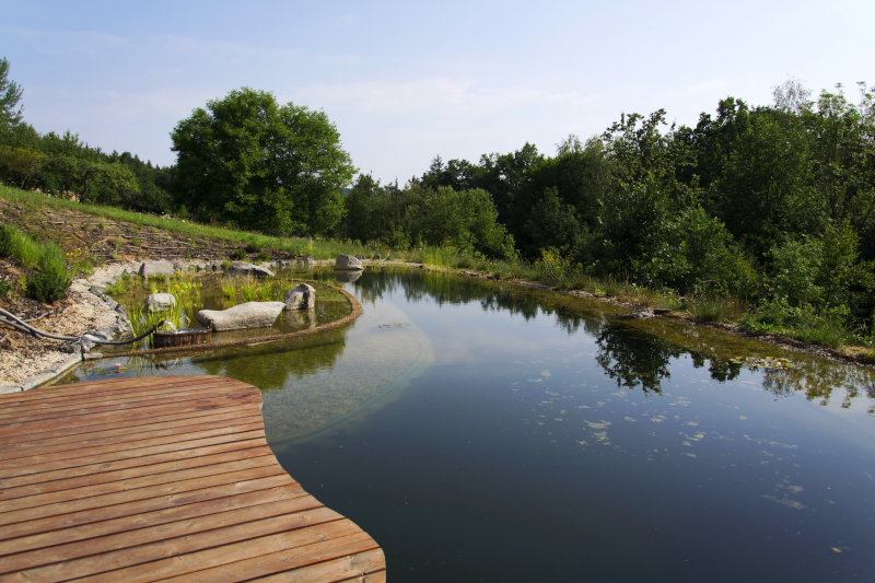 Schwimmteich mit Holzsteg