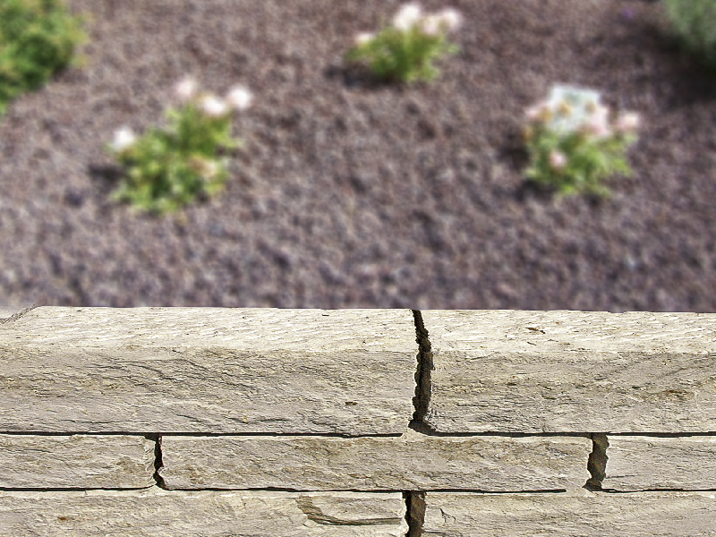 Gartenwelt_DietfurterAbdecksteinRömermauer_Beitragsbild.webp