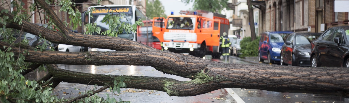 Ein umgestürzter Baum blockiert nach einem schweren Gewitter eine Straße in der Stadt. Im Hintergrund ein Bus, ein Feuerwehrauto und einige unkenntliche Feuerwehrleute