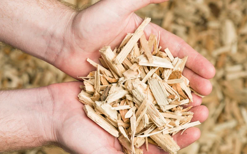 menschliche Hände halten grobe Holzspäne in der Hand