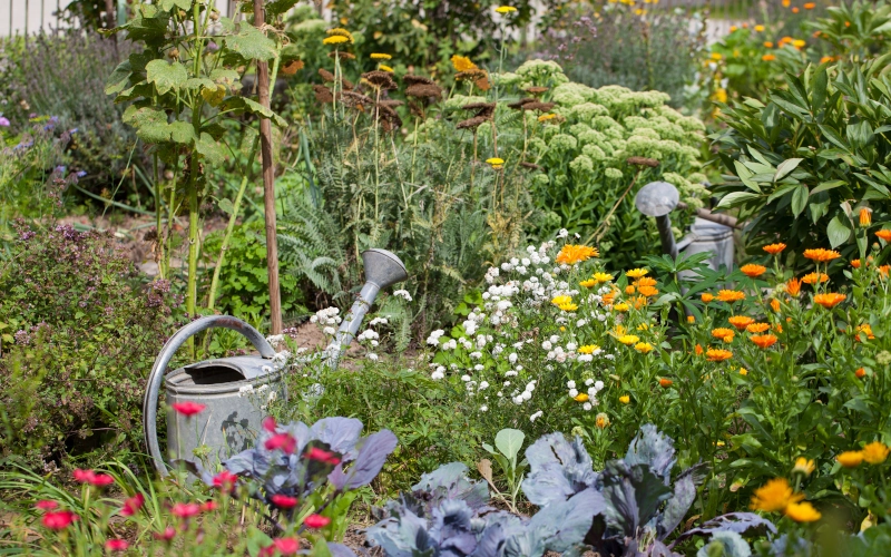Alter Bauerngarten mit gemischten Blumen- und Gemüsebeete und zwei Metall-Gießkannen
