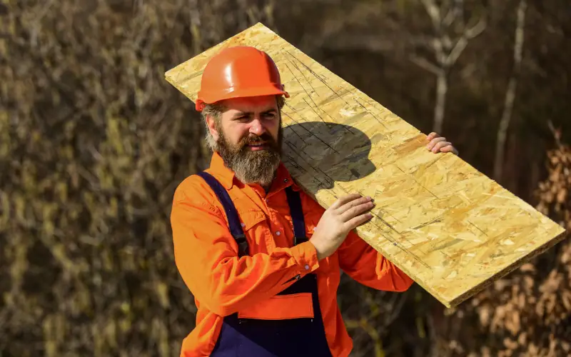 Bauen mit nachhaltigen und biologischen Baustoffen