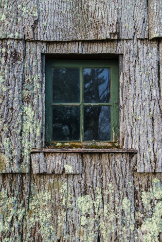 grünes Fenster 