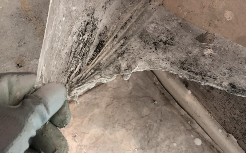 Eine Person zieht eine verschimmelte Tapete oder Folie von der Wand ab.