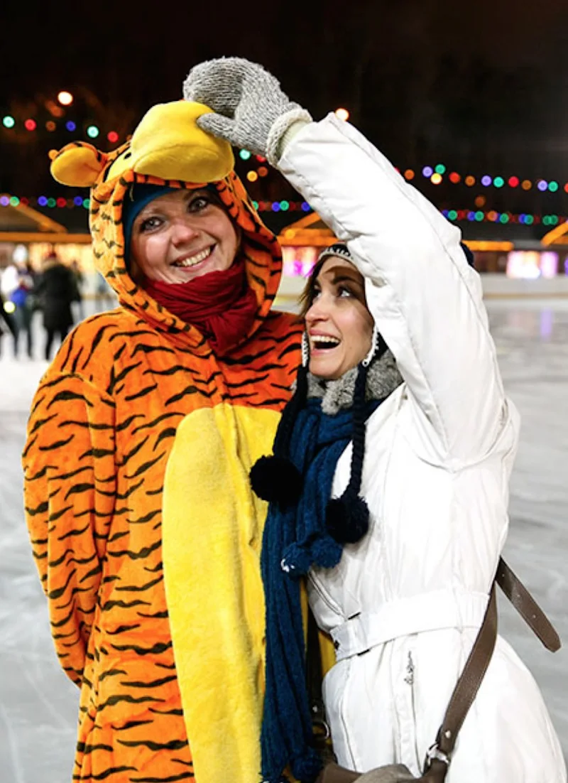 Fairytale Lapland gallery image 2