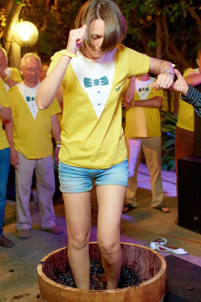 IEK's 15-year anniversary event for business partners gallery image 9