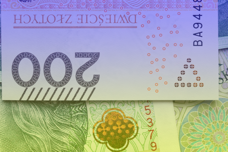 Польські злоті. Джерело: Pixabay
