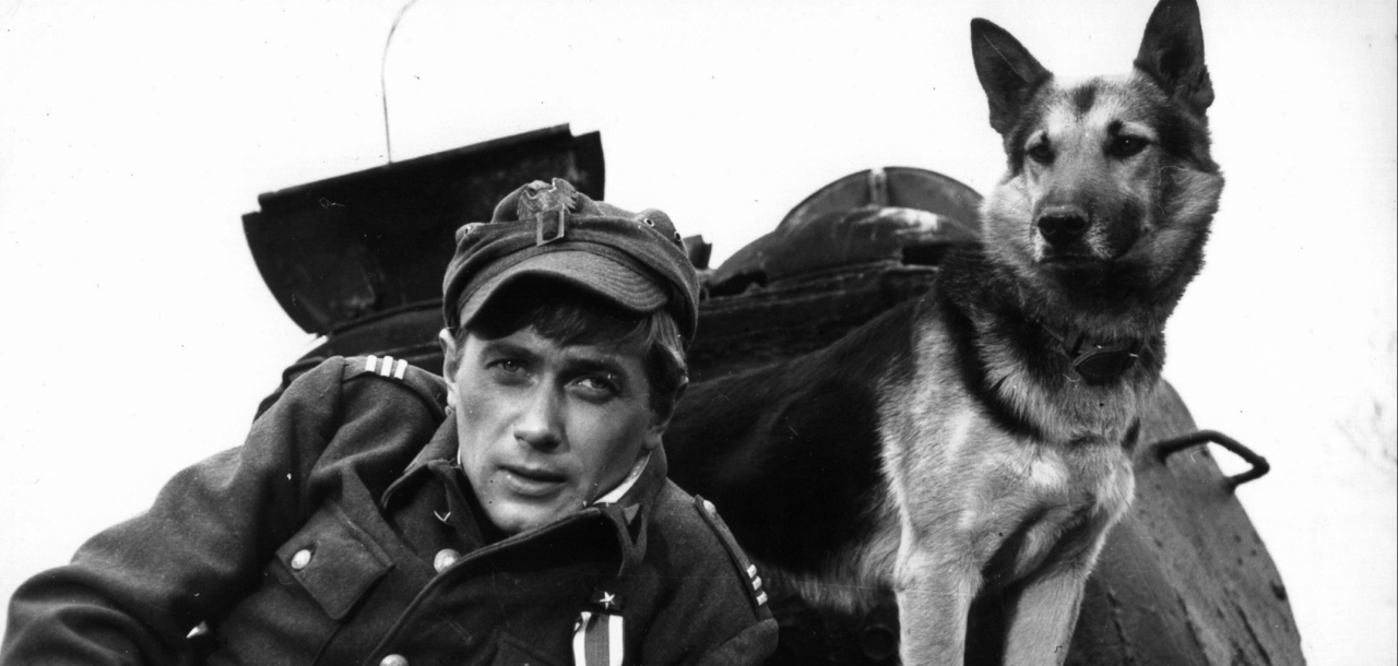 Януш Ґайос у серіалі «Чотири танкісти і пес», 1966 рік. Фото: Ромуальд Кропат / Forum