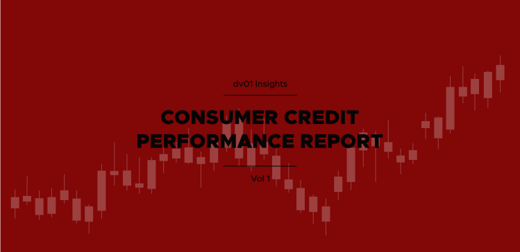 Consumer Credit Report Vol 1