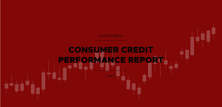 Consumer Credit Report Vol 1