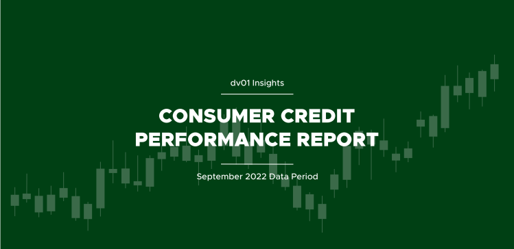 Consumer Credit Report Vol 2