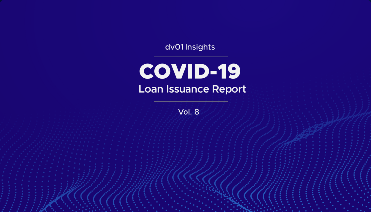 Insights: COVID-19 Loan Issuance Report, Vol 8