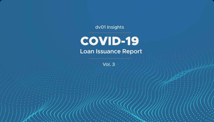 Insights: COVID-19 Loan Issuance Report, Vol 3