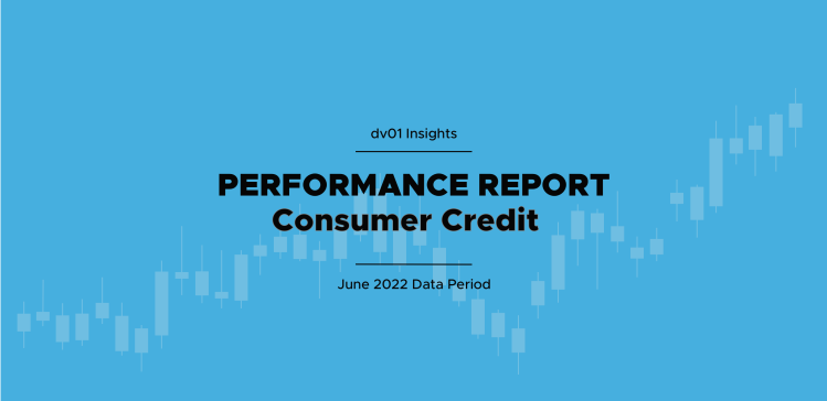Consumer Credit Report Vol 4