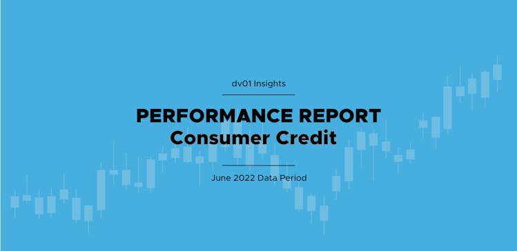 Consumer Credit Report Vol 4