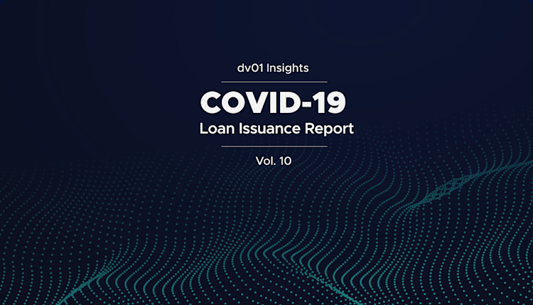 Insights: COVID-19 Loan Issuance Report, Vol 10