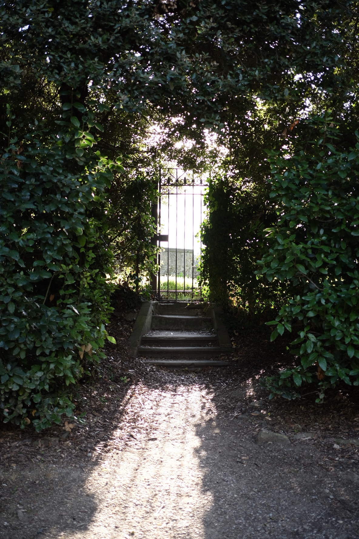 A few steps leading up to a small iron gate. Vertical bars with light flourishes across the top. A wall of green shrubs covers both sides and above.