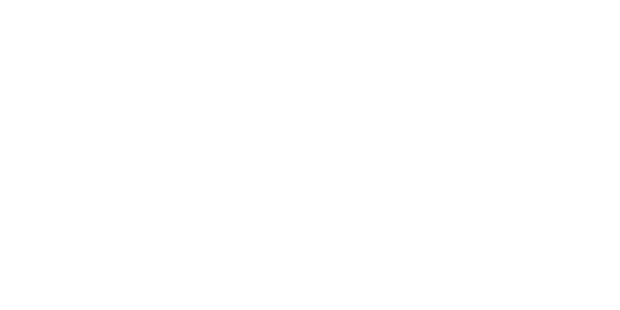 SVT Play logo