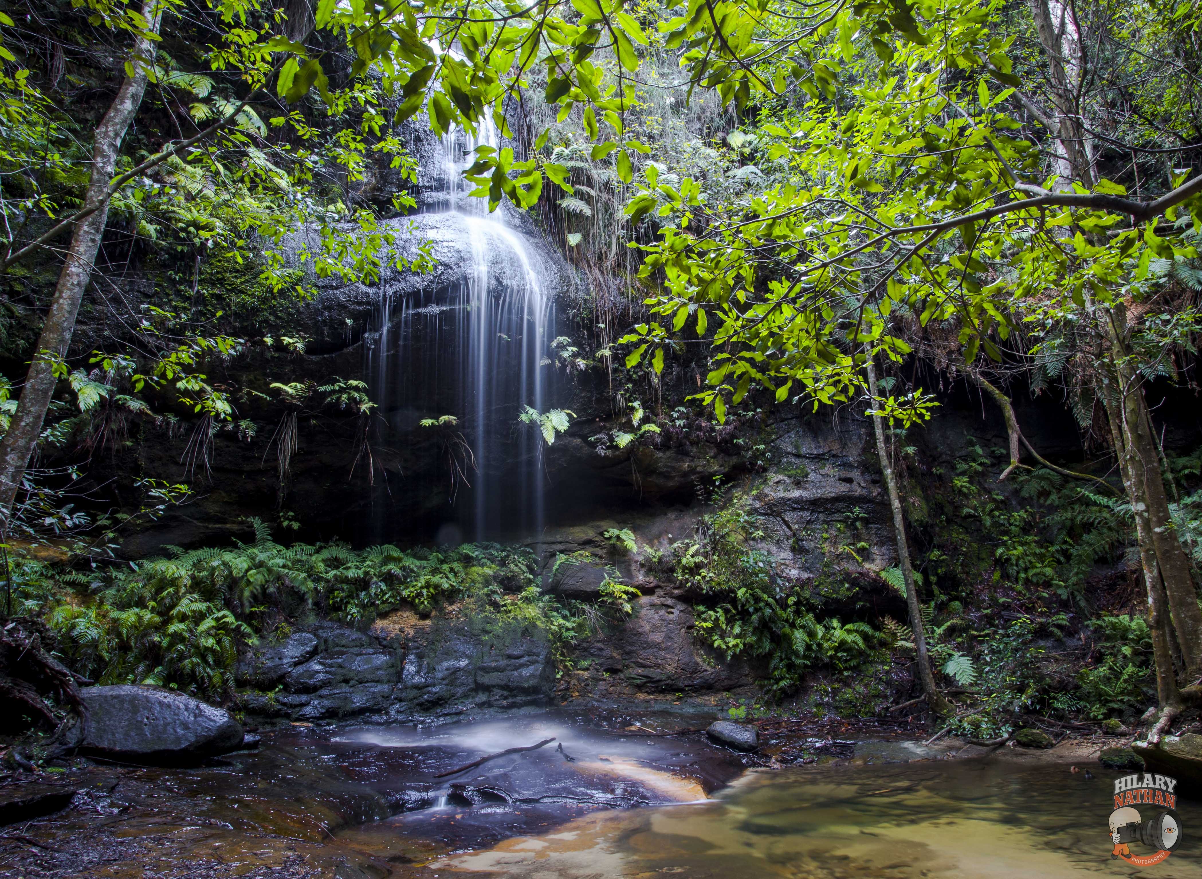 Adeline Falls Lawson, Blue Mountains