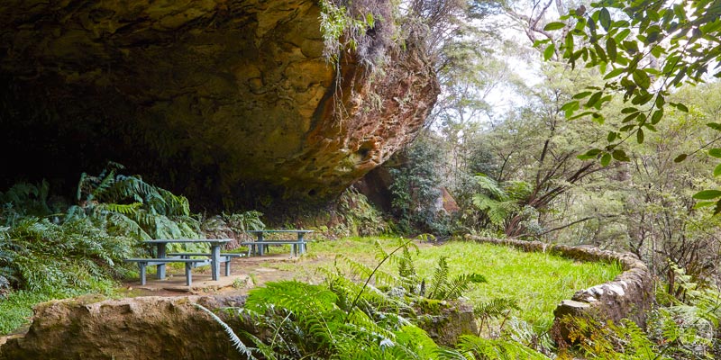 Lyrebird Dell, Blue Mountains