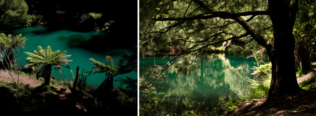 Jenolan River Walking Track (Blue Lake) in the Jenolan Caves, Blue Mountains