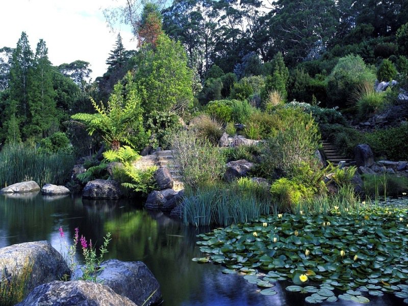 Blue Mountains Botanical Gardens at Mount Tomah