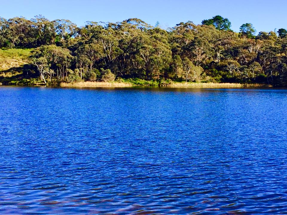 Wentworth Falls Lake is the perfect local spot to enjoy a packed picnic lunch or simply take in the views